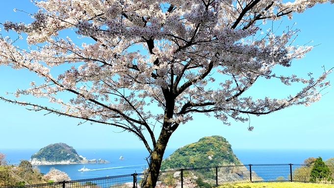 【春/GW】新鮮！穫れたて白イカ姿造りと香住蟹・但馬牛Wでよくばり香住グルメ〜日本海一望の絶景〜